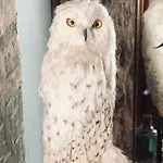 Апартаменты Sorcier Magique & Experience Immersive Кан