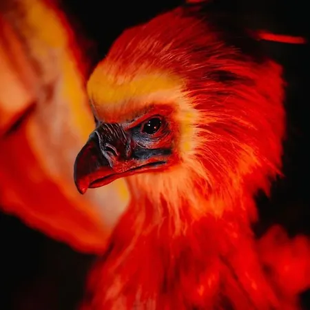 Apartamento Sorcier Magique&expérience Immersive