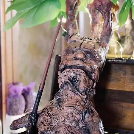 Sorcier Magique&expérience Immersive *