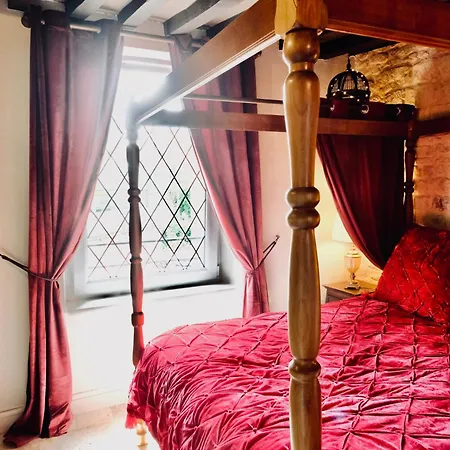 Sorcier Magique&expérience Immersive