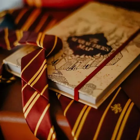 Apartamento Sorcier Magique&expérience Immersive