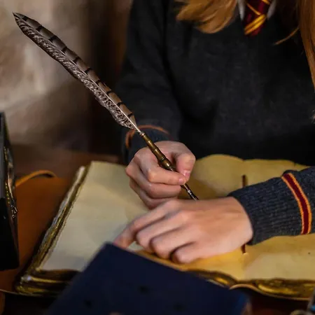 Sorcier Magique&expérience Immersive Apartamento Caen