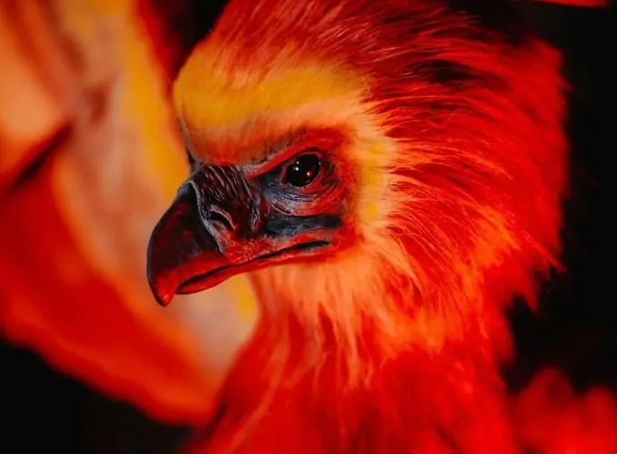 아파트 Sorcier Magique & Experience Immersive