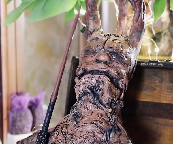 Sorcier Magique & Experience Immersive *