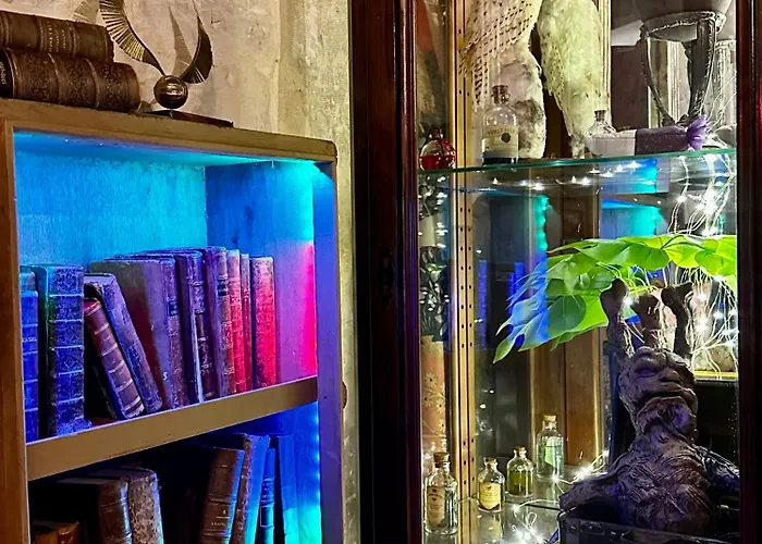 Sorcier Magique & Experience Immersive Daire *